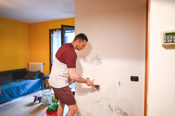 Best Fast Mold Removal  in Mullins, SC