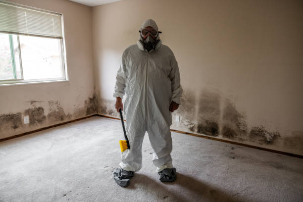 Best Professional Mold Removal  in Mullins, SC